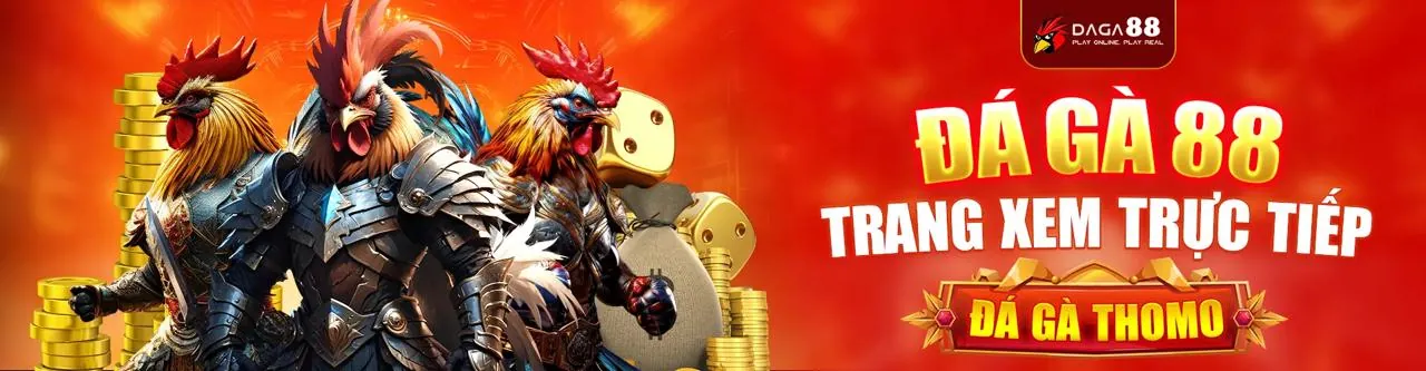 Hình minh họa các loại cookie khác nhau được HQ88 Login sử dụng để cải thiện trải nghiệm người dùng và bảo mật.